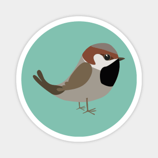 Cute sparrow Magnet